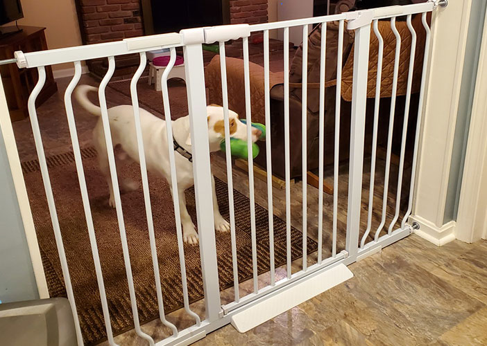 pet gate